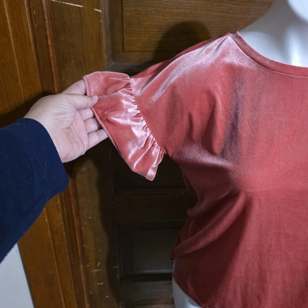 Old Navy Ruffle Velvet Sleeve Top Tyrell Rose Size XL (14)
